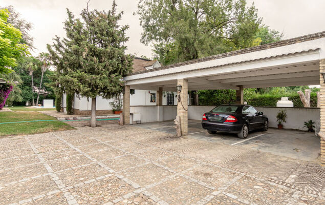 Las Codornices - Photo 49