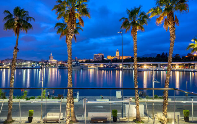 Malaga Pacifico - Photo 25