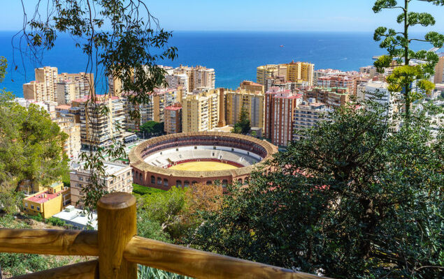 Malaga Pacifico - Photo 29