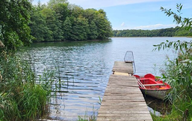 Terrassenwohnung am See - Photo 5